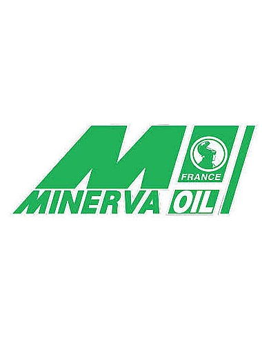 PROTECT'AIR MINERVA - FILTRE