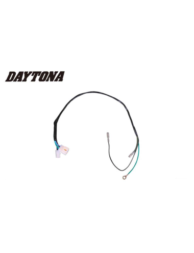 FAISCEAU DAYTONA ANIMA