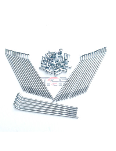 copy of RAYONS AVANT 4mm...